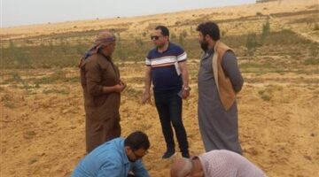 "بحوث الصحراء" يواصل دعم دمج أبناء سيناء في التنمية الزراعية المستدامة