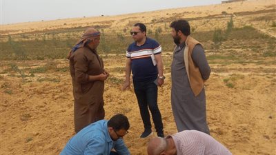 "بحوث الصحراء" يواصل دعم دمج أبناء سيناء في التنمية الزراعية المستدامة "بحوث الصحراء" يواصل دعم دمج أبناء سيناء في التنمية الزراعية المستدامة