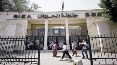 «متحدث الزراعة» يكشف حقيقة زيادة سعر تذكرة حديقة الحيوان بعد تجديدها «متحدث الزراعة» يكشف حقيقة زيادة سعر تذكرة حديقة الحيوان بعد تجديدها