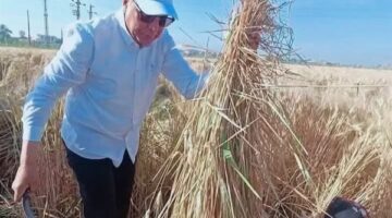 وسط فرحة المزارعين.. محافظ المنيا يشهد حصاد محصول القمح