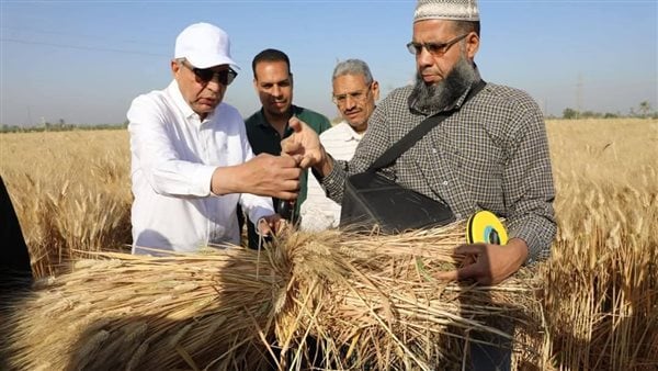 محافظ المنيا يشارك الفلاحين فرحة حصاد القمح بسمالوط محافظ المنيا يشارك الفلاحين فرحة حصاد القمح بسمالوط