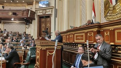 سنة تدريبية إجباري.. البرلمان يدرس تعديل قانون مزاولة مهنة الصيدلة سنة تدريبية إجباري.. البرلمان يدرس تعديل قانون مزاولة مهنة الصيدلة