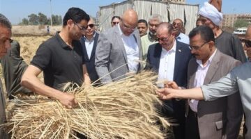 محافظ القليوبية يتفقد صوامع القمح ويؤكد: المحصول مبشر والإنتاجية وفيرة وتم توريد 5170 طنًا