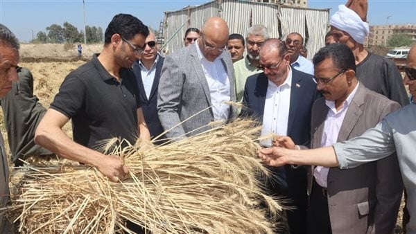 محافظ القليوبية يتفقد صوامع القمح ويؤكد: المحصول مبشر والإنتاجية وفيرة وتم توريد 5170 طنًا محافظ القليوبية يتفقد صوامع القمح ويؤكد: المحصول مبشر والإنتاجية وفيرة وتم توريد 5170 طنًا