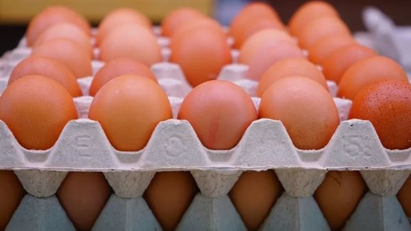 حازم المنوفي: أسعار البيض تواصل التراجع وقيمتها 4 جنيهات بدلاً من 6 حازم المنوفي: أسعار البيض تواصل التراجع وقيمتها 4 جنيهات بدلاً من 6