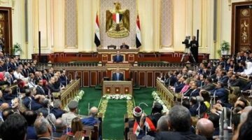 النواب يوافق على إنشاء قاعدة بيانات الرقم القومي للعقارات في مجموعة