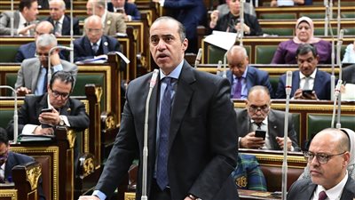 الوزير فوزي عن مشروع الرقم القومى: المواطن ليس مطلوب منه تقديم بيانات طالما لم يطلب منه ذلك.. ومعظم الإجراءات تقوم بها الحكومة