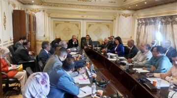 صناعة النواب تناقش طلب إحاطة بشأن عدم الشفافية والوضوح من وزارة قطاع الأعمال العام في التعامل مع مساهمي شركة الحديد والصلب