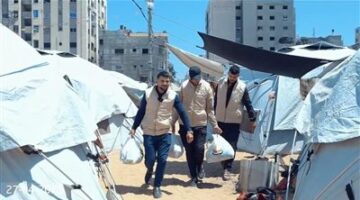 رحلة شاقة بين جنوب وشمال القطاع.. اللجنة المصرية توزع المساعدات للفلسطينيين شمال غزة