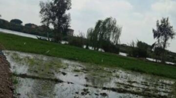 خبير مناخي ينتقد تأخر التحذيرات من غرق أراضي طرح النيل