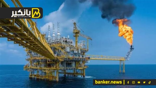 فرص استثمارية في قطاع البترول.. شوف إزاي هتكون مصدر دولاري لمصر فرص استثمارية في قطاع البترول.. شوف إزاي هتكون مصدر دولاري لمصر