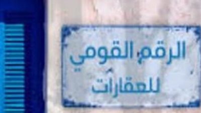 الإسكان: نهدف لإنشاء قاعدة بيانات رقمية موحدة للعقارات في مصر الإسكان: نهدف لإنشاء قاعدة بيانات رقمية موحدة للعقارات في مصر