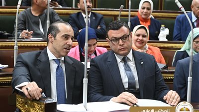 الوزير فوزي: مشروع قانون الرقم القومي الموحد للعقاراتلا يمس مصالح المصريين المغتربين.. والإجراءات ستتم عن بُعد عبر إرسال البيانات إلكترونيًا