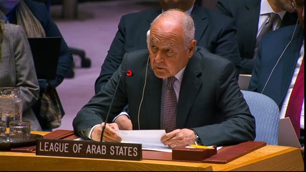 أبو الغيط يرحب بتعيين حسين الشيخ نائبا لرئيس فلسطين أبو الغيط يرحب بتعيين حسين الشيخ نائبا لرئيس فلسطين