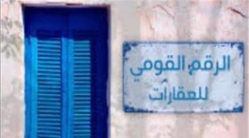 من الذي يتولي مهمة إصدار بطاقات الرقم القومي الموحد للعقارات؟.. القانون الجديد يجيب