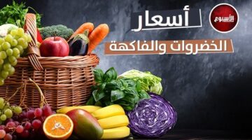 الكوسة بـ 9 جنيهات.. أسعار الخضروات والفاكهة اليوم الخميس 1 مايو 2025