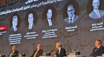 وزير المالية: القطاع الخاص يستحوذ على نحو 60% من إجمالي الاستثمارات خلال 6 أشهر