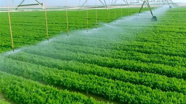 مشروعات عملاقة فى الصحراء.. مستقبل مصر يقود الدولة إلى نهضة زراعية جديدة مشروعات عملاقة فى الصحراء.. مستقبل مصر يقود الدولة إلى نهضة زراعية جديدة