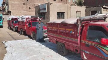 محافظ المنيا: توريد 68 ألف طن قمح للشون والصوامع ضمن موسم حصاد 2025