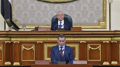 تحيا مصر ينشر نص مشروع قانون نائب التنسيقية محمد إسماعيل بشأن الثروة المعدنية بعد موافقة النواب تحيا مصر ينشر نص مشروع قانون نائب التنسيقية محمد إسماعيل بشأن الثروة المعدنية بعد موافقة النواب