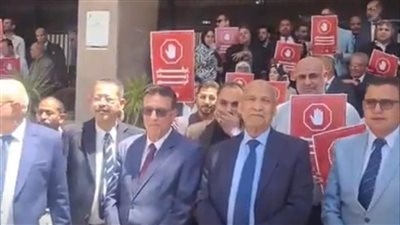 محامو الإسماعيلية يواصلون احتجاجاتهم رفضا لـ الرسوم القضائية محامو الإسماعيلية يواصلون احتجاجاتهم رفضا لـ الرسوم القضائية