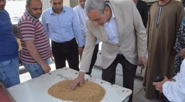 محافظ الغربية يتابع توريد ذهب الحقول بطنطا