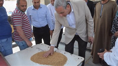 محافظ الغربية يتابع توريد ذهب الحقول بطنطا محافظ الغربية يتابع توريد ذهب الحقول بطنطا