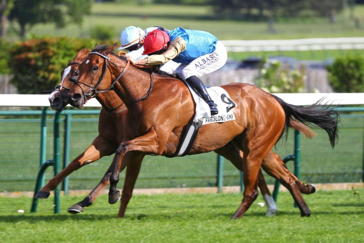 الخيل القطرية تواصل التفوق في السباقات الدولية بانتصارات جديدة الخيل القطرية تواصل التفوق في السباقات الدولية بانتصارات جديدة