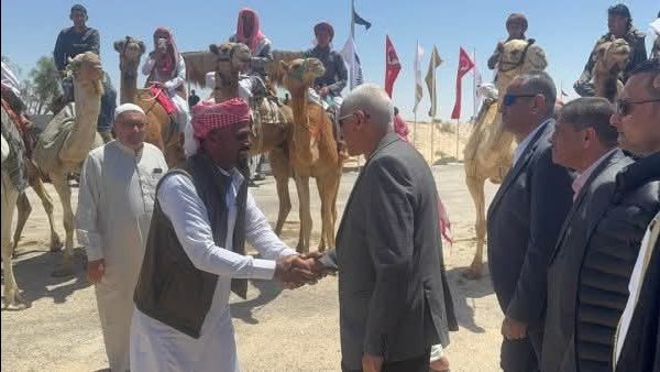 محافظ شمال سيناء يفتتح مهرجان الهجن بالعريش محافظ شمال سيناء يفتتح مهرجان الهجن بالعريش