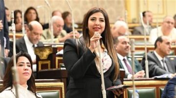 نشوى الشريف "نائبة التنسيقية": قانون الثروة المعدنية يحد من الإستيراد ويوفر 2 مليار دولار فاتورة إستيراد سنوية