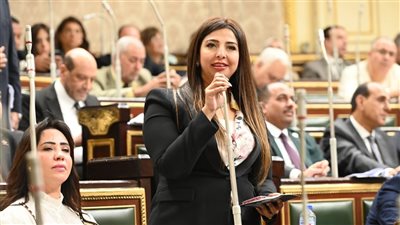نشوى الشريف "نائبة التنسيقية": قانون الثروة المعدنية يحد من الإستيراد ويوفر 2 مليار دولار فاتورة إستيراد سنوية نشوى الشريف "نائبة التنسيقية": قانون الثروة المعدنية يحد من الإستيراد ويوفر 2 مليار دولار فاتورة إستيراد سنوية