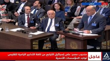 مندوب مصر أمام محكمة العدل: إسرائيل انتهكت كافة القوانين الدولية التي وقعت عليها