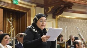دعاء عريبى "نائبة التنسيقية": "الثروة المعدنية " يساهم فى دعم الإقتصاد وله أثر بالغ فى تطوير قطاع التعدين