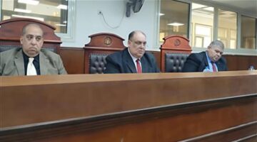إحالة أوراق المتهم بأنهاء حياة مهندس كفر الشيخ الي فضيلة المفتي