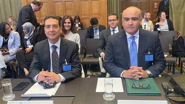 مصر تترافع أمام محكمة العدل الدولية بشأن التزامات إسرائيل كقوة قائمة بالاحتلال في فلسطين مصر تترافع أمام محكمة العدل الدولية بشأن التزامات إسرائيل كقوة قائمة بالاحتلال في فلسطين