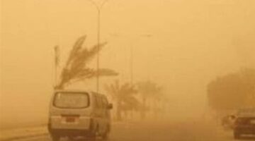قبل العاصفة الترابية.. تعليمات مهمة لمرضى الجيوب الأنفية