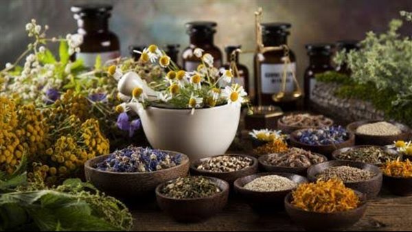 5 أعشاب تساعد على تقوية الذاكرة والوقاية من الزهايمر 5 أعشاب تساعد على تقوية الذاكرة والوقاية من الزهايمر