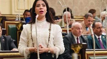نائبة التنسيقية غادة على: قانون تعدين الثروات يضاعف من أهمية الاستراتيجية للثروة المعدنية على الصعيدين الداخلي والخارجي