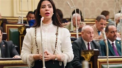 نائبة التنسيقية غادة على: قانون تعدين الثروات يضاعف من أهمية الاستراتيجية للثروة المعدنية على الصعيدين الداخلي والخارجي نائبة التنسيقية غادة على: قانون تعدين الثروات يضاعف من أهمية الاستراتيجية للثروة المعدنية على الصعيدين الداخلي والخارجي