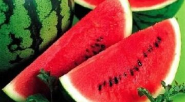 نقيب الفلاحين يتوقع انخفاض أسعار البظيخ إلى 20 جنيها