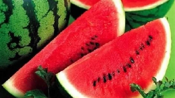 نقيب الفلاحين يتوقع انخفاض أسعار البظيخ إلى 20 جنيها نقيب الفلاحين يتوقع انخفاض أسعار البظيخ إلى 20 جنيها