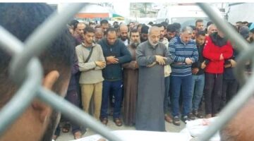 غزة.. 6 أشقاء خرجوا لتوزيع الأرز فعادوا شهداء