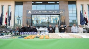 مليار و200 مليون جنيه.. الداخلية تقبض على باقي عصابة الحشيش الاصطناعي