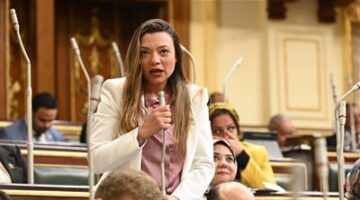 نائبة التنسيقية مي كرم جبر توافق على مشروع قانون هيئة الثروة المعدنية.. وتؤكد: سيدعم الاقتصاد المصري ويعزز الصناعات التعدينية