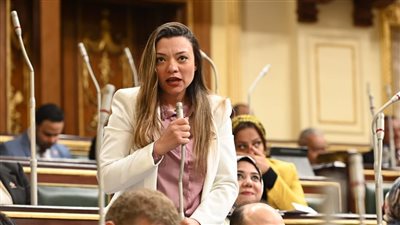 نائبة التنسيقية مي كرم جبر توافق على مشروع قانون هيئة الثروة المعدنية.. وتؤكد: سيدعم الاقتصاد المصري ويعزز الصناعات التعدينية