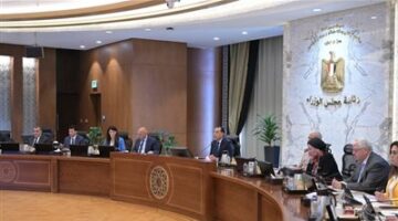 رئيس الوزراء: الدولة المصرية تقف دوما بجانب أشقائها