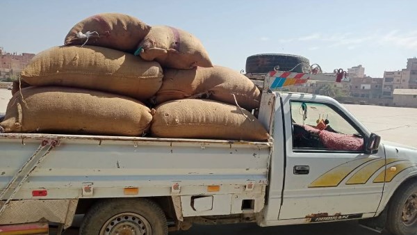 محافظ المنيا: توريد 77 ألف طن قمح للشون والصوامع ضمن موسم الحصاد محافظ المنيا: توريد 77 ألف طن قمح للشون والصوامع ضمن موسم الحصاد