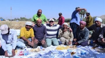 جامعة سوهاج تُسهم في تعزيز الأمن الغذائي: حصاد القمح وتطوير المزارع