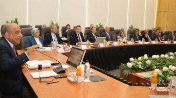 إقرار إجراءات إعادة هيكلة الشركة القابضة وفصل المصرية لنقل الكهرباء