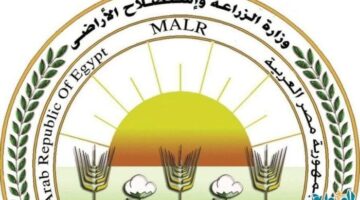 «الزراعة» تصدر أكثر من 700 ترخيص لأنشطة ومشروعات الإنتاج الحيواني والداجني